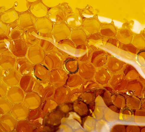 Soin bien-être ESCALE NECTAR ROYAL 