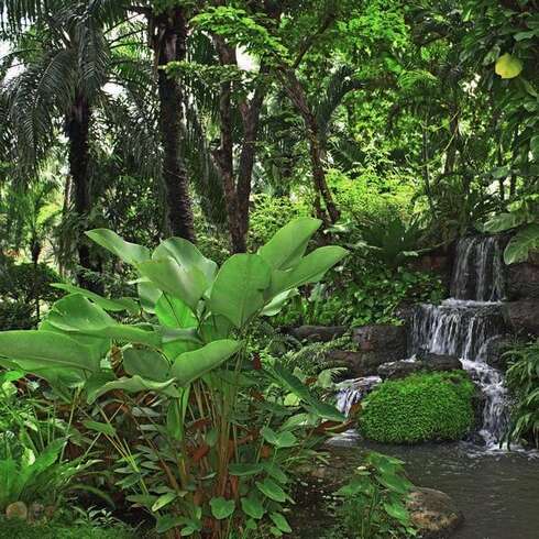 Soin bien-être ESCALE JARDIN ZEN